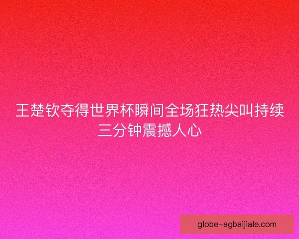 王楚钦夺得世界杯瞬间全场狂热尖叫持续三分钟震撼人心