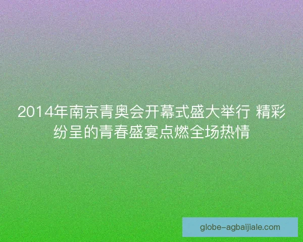 2014年南京青奥会开幕式盛大举行 精彩纷呈的青春盛宴点燃全场热情 2014年南京青奥会开幕式盛大举行 精彩纷呈的青春盛宴点燃全场热情
