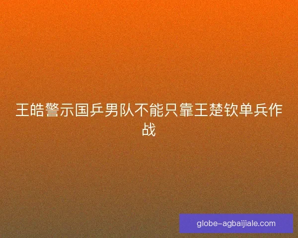 王皓警示国乒男队不能只靠王楚钦单兵作战