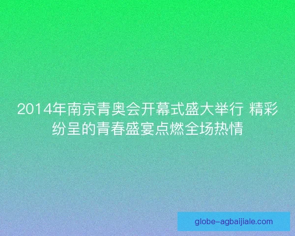 2014年南京青奥会开幕式盛大举行 精彩纷呈的青春盛宴点燃全场热情