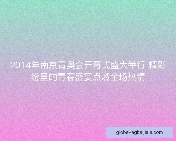 2014年南京青奥会开幕式盛大举行 精彩纷呈的青春盛宴点燃全场热情