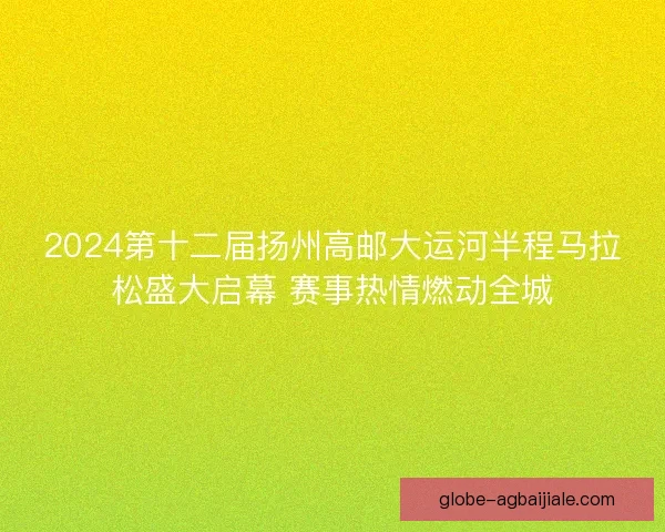 2024第十二届扬州高邮大运河半程马拉松盛大启幕 赛事热情燃动全城 2024第十二届扬州高邮大运河半程马拉松盛大启幕 赛事热情燃动全城