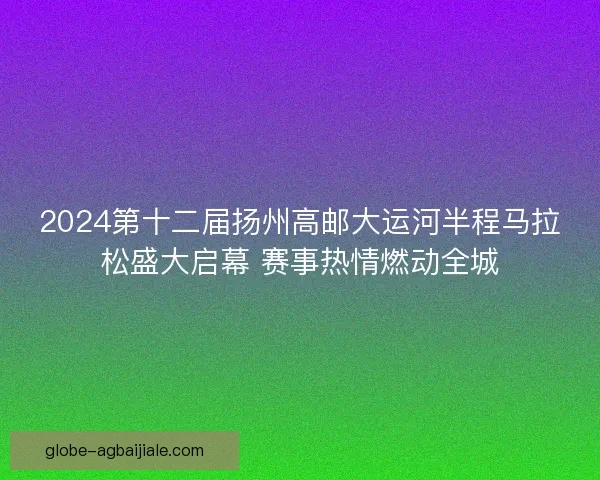 2024第十二届扬州高邮大运河半程马拉松盛大启幕 赛事热情燃动全城 2024第十二届扬州高邮大运河半程马拉松盛大启幕 赛事热情燃动全城